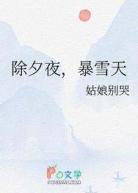 除夕夜，暴雪天